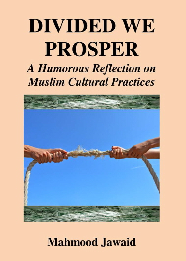 DivideWeProsperFrontCover